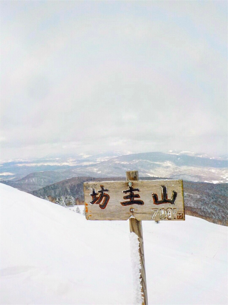 f:id:wachiyo1030:20180225181312j:image f:id:wachiyo1030:20180225181312j:image