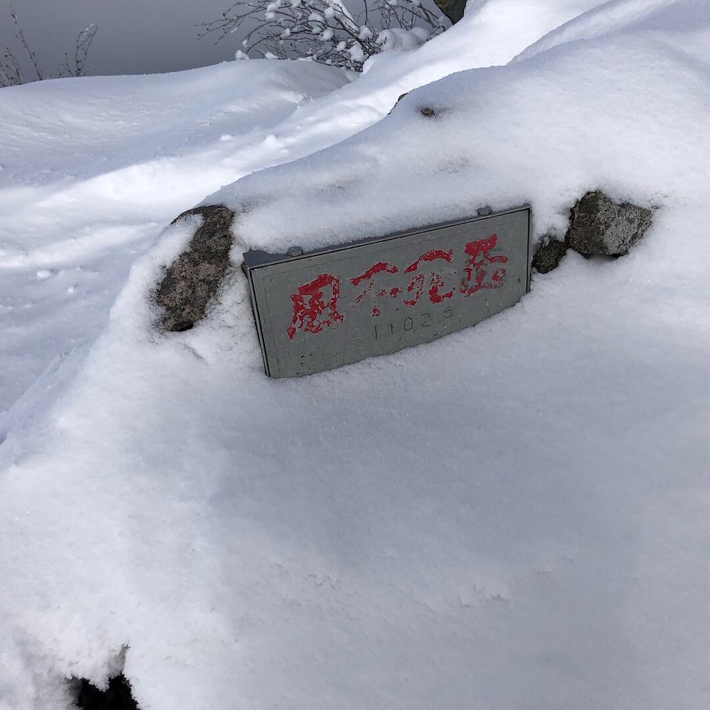 f:id:wachiyo1030:20190106182204j:image f:id:wachiyo1030:20190106182204j:image