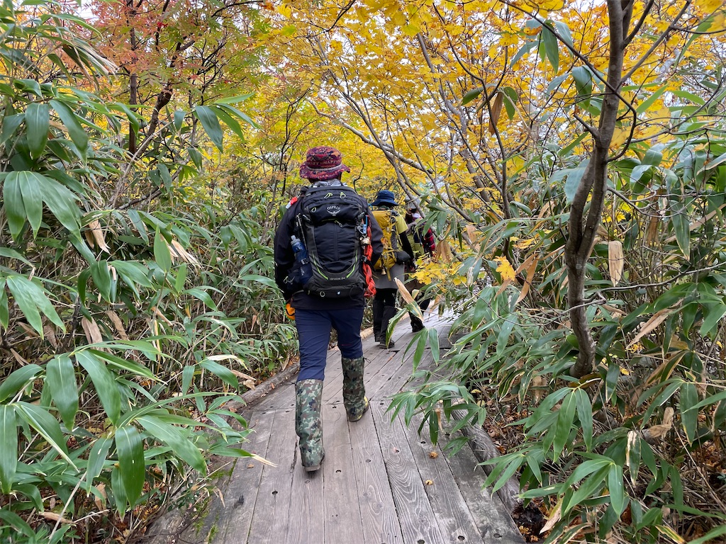 f:id:wachiyo1030:20211010201743j:image