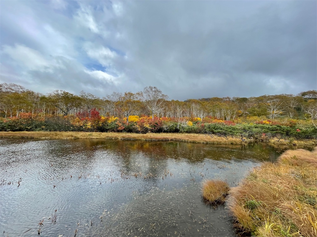 f:id:wachiyo1030:20211010202002j:image