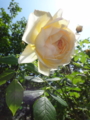 20120526085653
