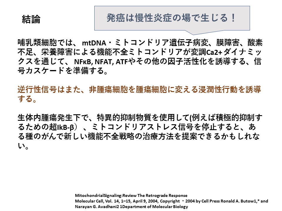 f:id:wadahiromi:20210309222910j:plain