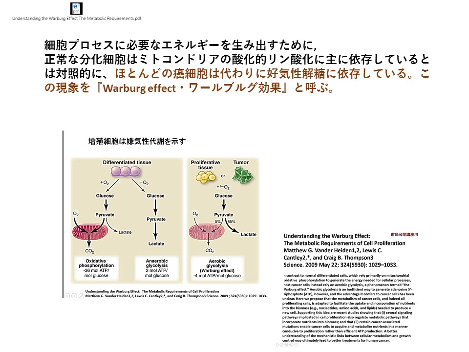f:id:wadahiromi:20210323181103j:plain