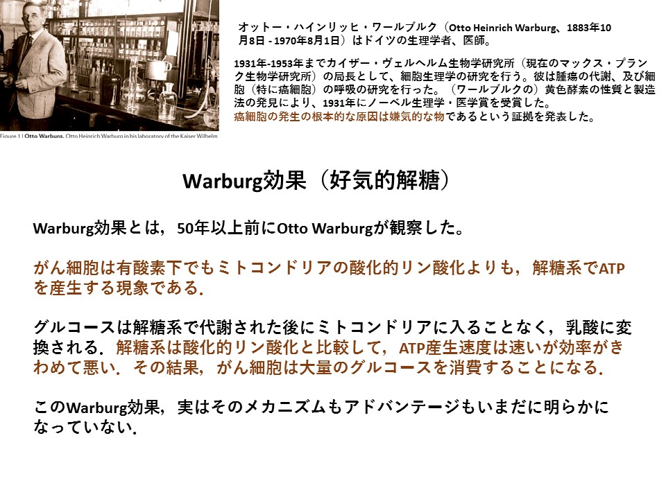 f:id:wadahiromi:20210323181156j:plain