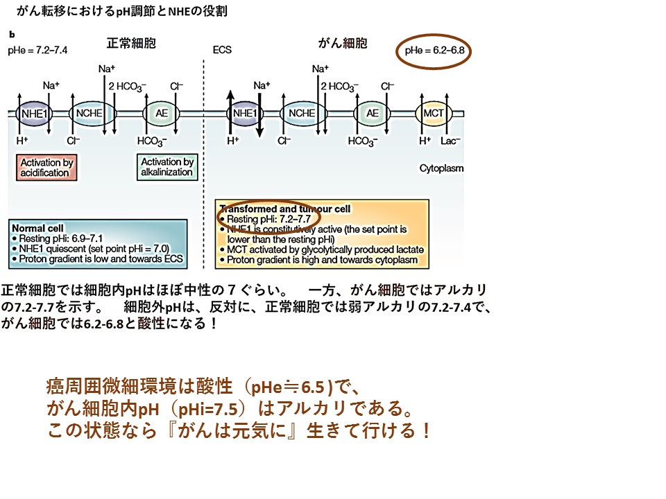 f:id:wadahiromi:20210323181513j:plain