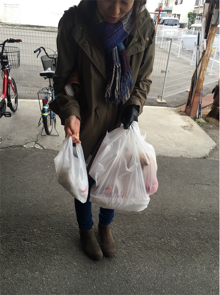f:id:wadaisei:20161209204320j:image