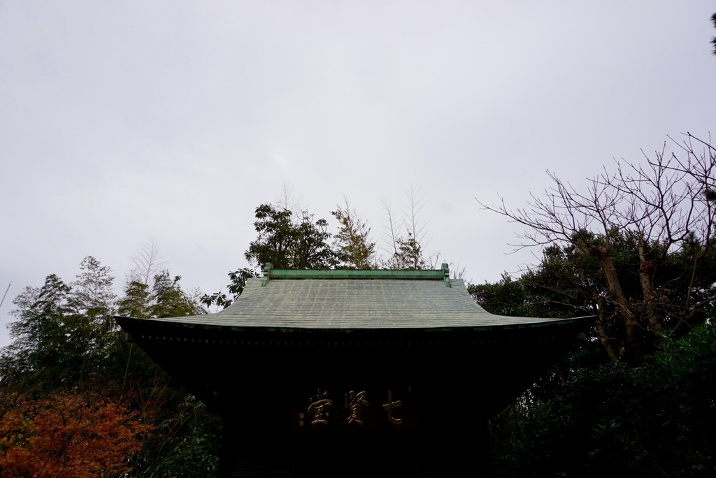 f:id:wadakogorou-weblog:20181228194508j:plain f:id:wadakogorou-weblog:20181228194508j:plain