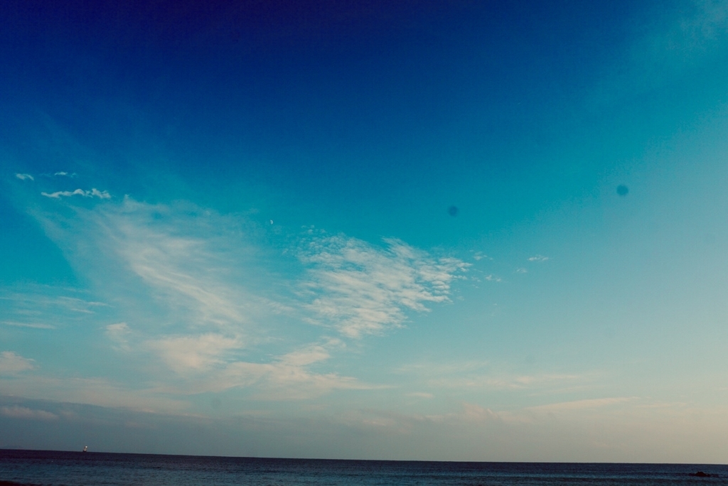 f:id:wadakogorou-weblog:20181228231919j:plain f:id:wadakogorou-weblog:20181228231919j:plain