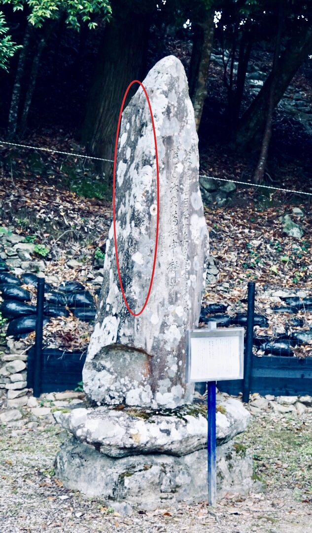 f:id:wadakogorou-weblog:20190612154015j:plain f:id:wadakogorou-weblog:20190612154015j:plain