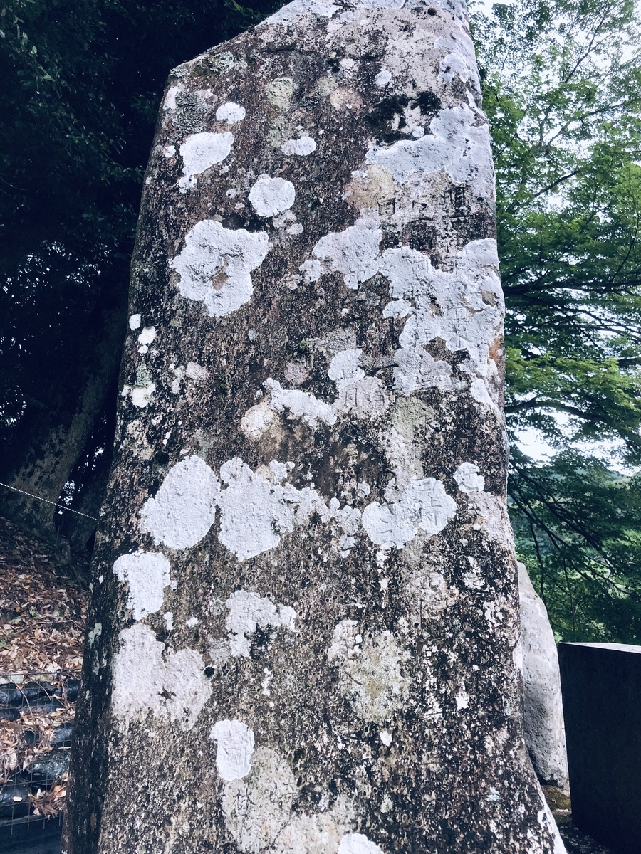 f:id:wadakogorou-weblog:20190612154030j:plain f:id:wadakogorou-weblog:20190612154030j:plain