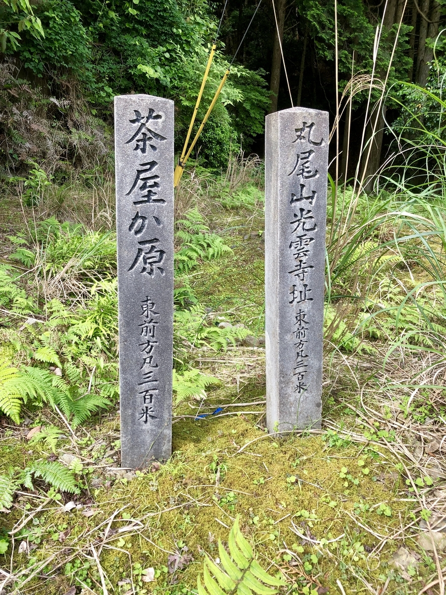 f:id:wadakogorou-weblog:20190612154717j:plain f:id:wadakogorou-weblog:20190612154717j:plain