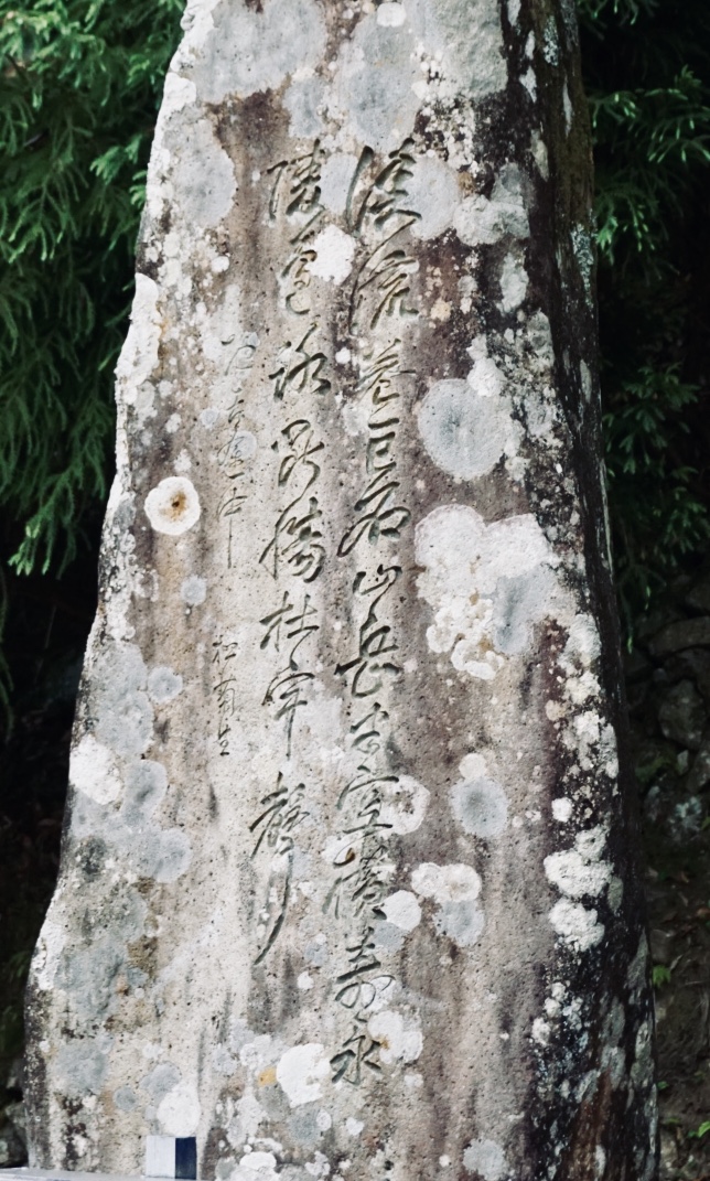 f:id:wadakogorou-weblog:20190612185527j:plain f:id:wadakogorou-weblog:20190612185527j:plain