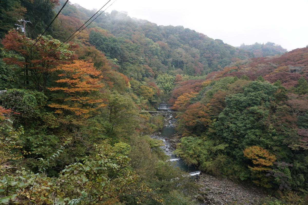 f:id:wadakogorou-weblog:20190721231032j:plain f:id:wadakogorou-weblog:20190721231032j:plain