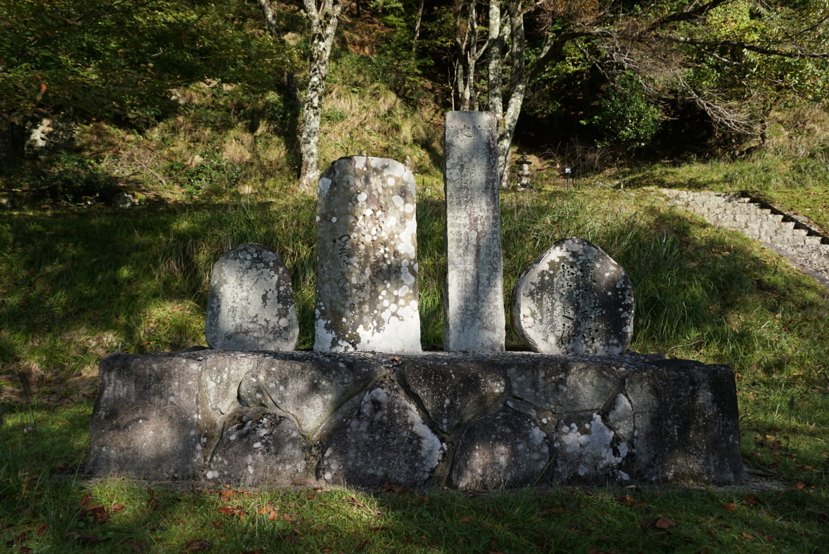 f:id:wadakogorou-weblog:20220206213059j:plain