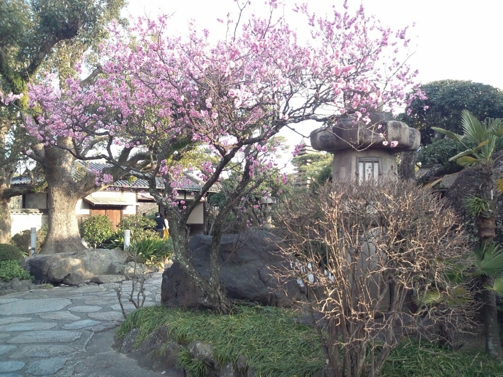 f:id:wadatomatoma:20180421141324j:plain