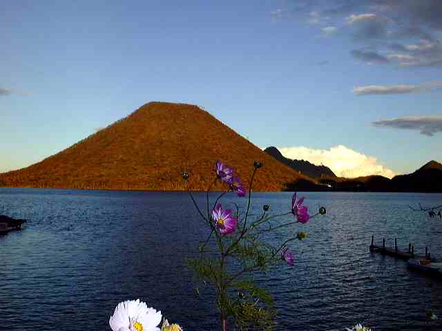 f:id:wadayasuhiro:20170426194302j:plain f:id:wadayasuhiro:20170426194302j:plain