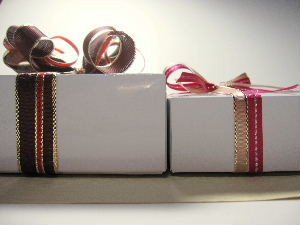 f:id:wadayo:20110125233930j:image