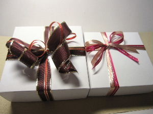 f:id:wadayo:20110125234008j:image