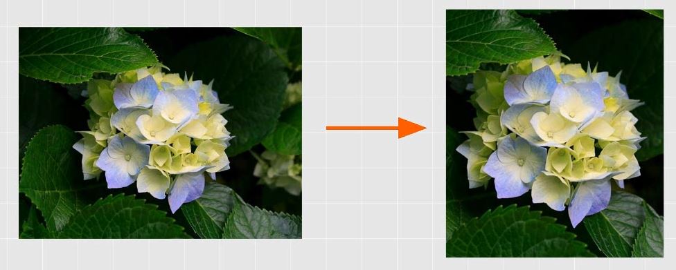 f:id:waenavi:20181009215552j:plain f:id:waenavi:20181009215552j:plain