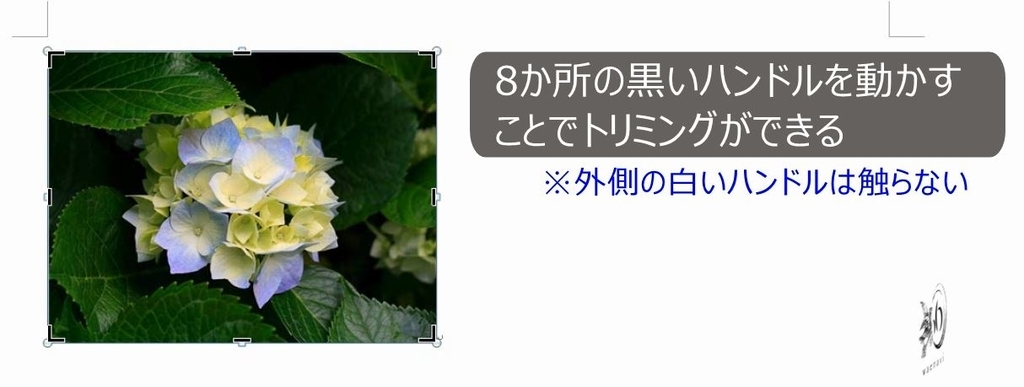 f:id:waenavi:20181009221359j:plain f:id:waenavi:20181009221359j:plain