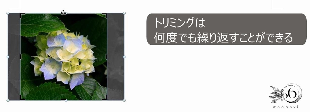 f:id:waenavi:20181009221410j:plain f:id:waenavi:20181009221410j:plain