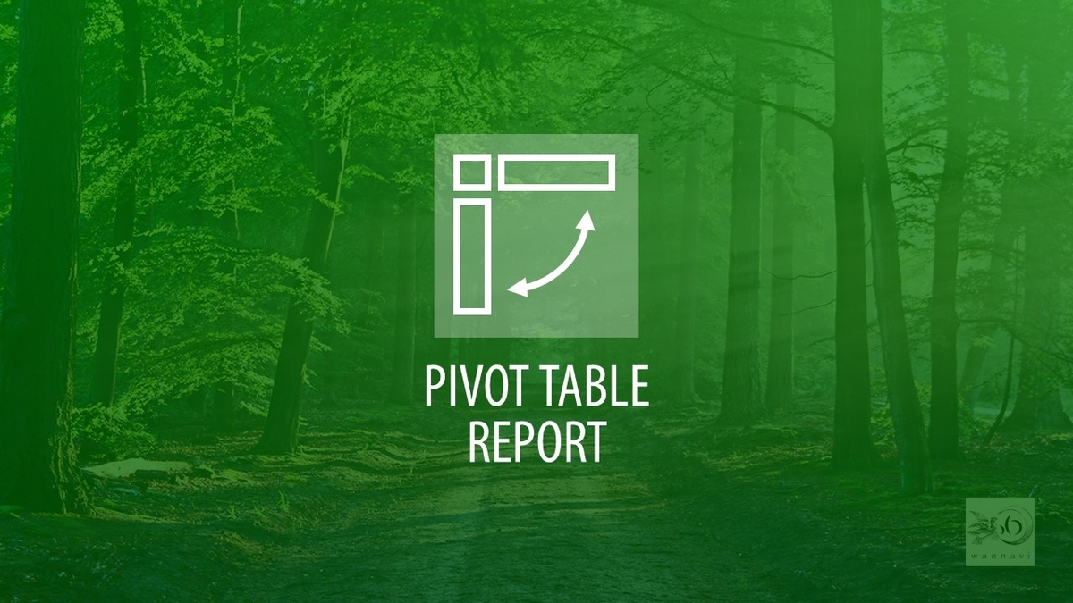 Excelピボットテーブル(pivot table report)