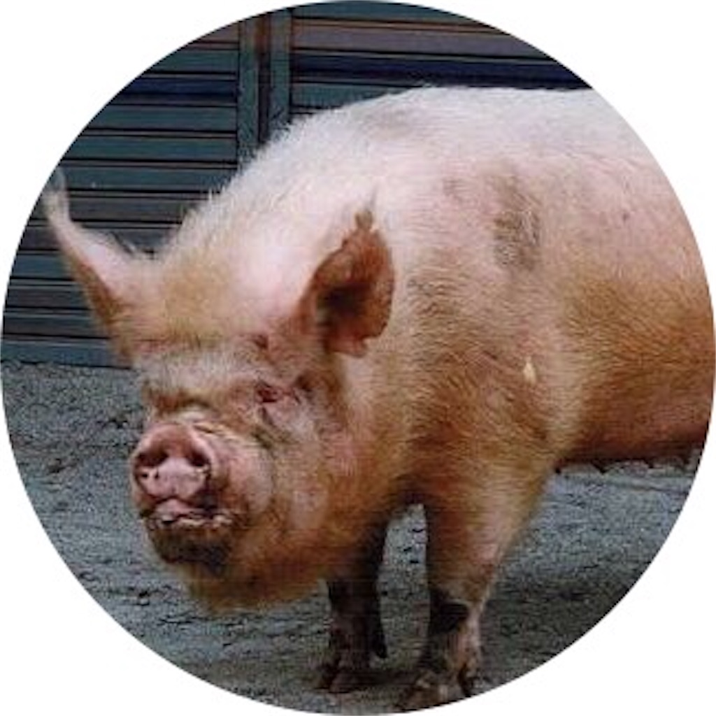 f:id:waffle9618:20171127201721j:image