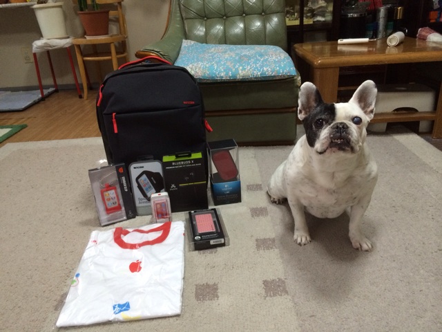 f:id:wafu_572p:20140102093917j:plain