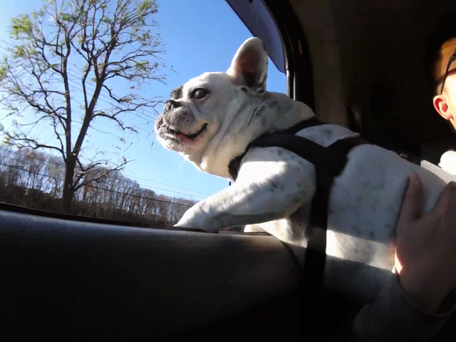 f:id:wafu_572p:20150105204807j:plain