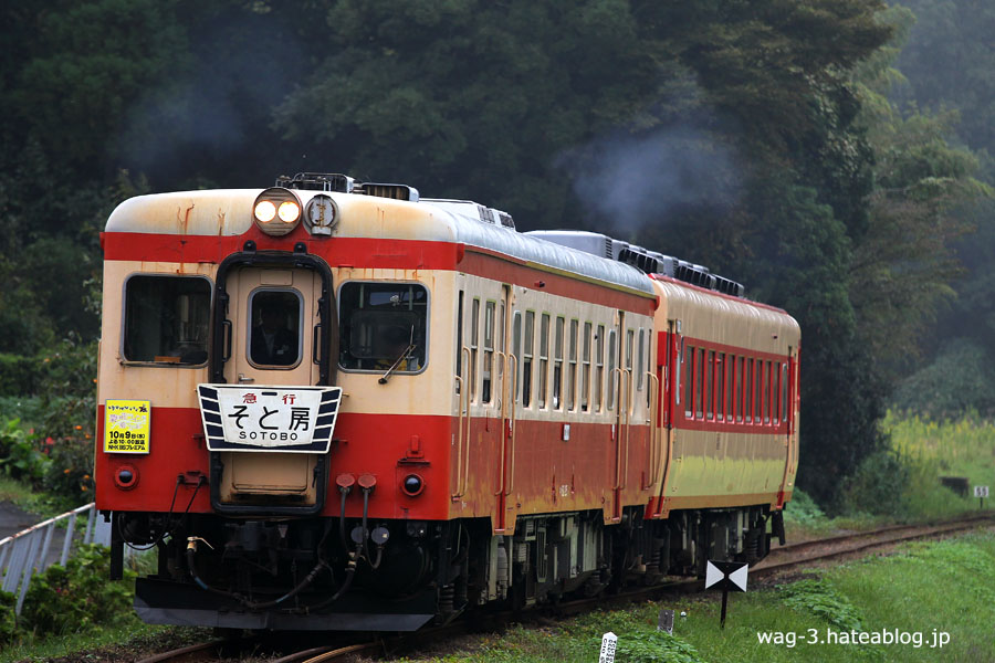 鉄道グッズ そと房 急行 いすみ鉄道】急行そと房。 - 鉄道に乗ることから旅は始まる