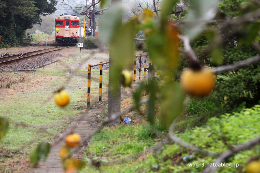 いすみ鉄道】急行そと房。 - 鉄道に乗ることから旅は始まる