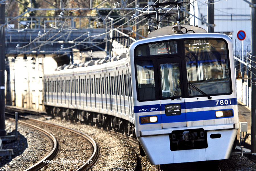 鉄道　スタフ　春臨④ 臨時特急「ほくそう春まつり号」運転｜鉄道ニュース｜2023年4月