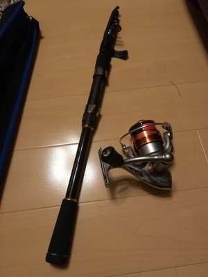 f:id:waga186:20190817195029j:plain f:id:waga186:20190817195029j:plain