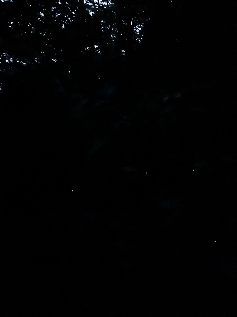 f:id:wagahaiblog:20230606094543j:image