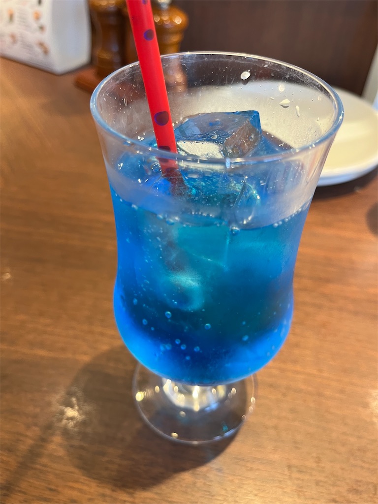 f:id:wagahaiblog:20230626224453j:image