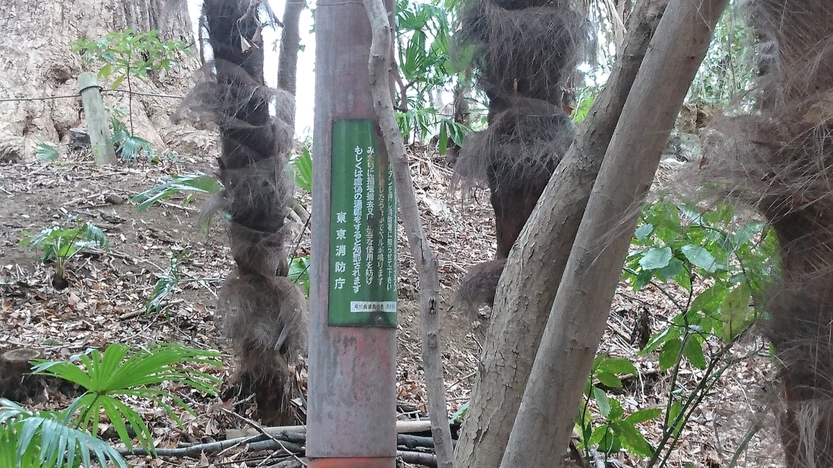 f:id:wagamachibunkyo:20200307111145j:plain f:id:wagamachibunkyo:20200307111145j:plain