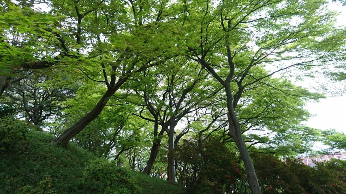 f:id:wagamachibunkyo:20200415210016j:plain f:id:wagamachibunkyo:20200415210016j:plain