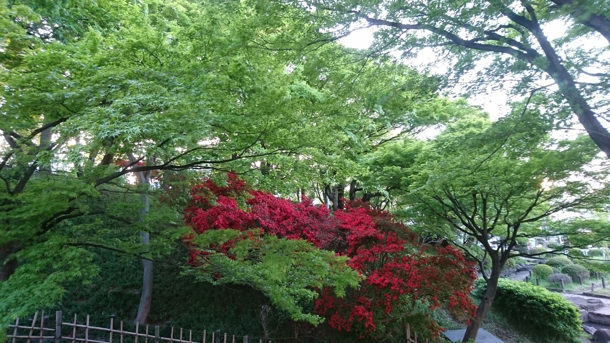 f:id:wagamachibunkyo:20200415210033j:plain f:id:wagamachibunkyo:20200415210033j:plain
