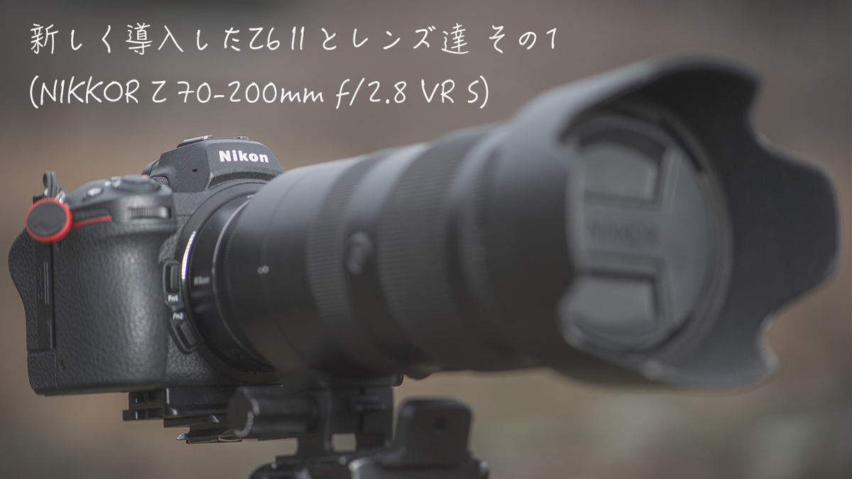 新しく導入したZ6Ⅱとレンズ達 その1(NIKKOR Z 70-200mm f/2.8 VR S 