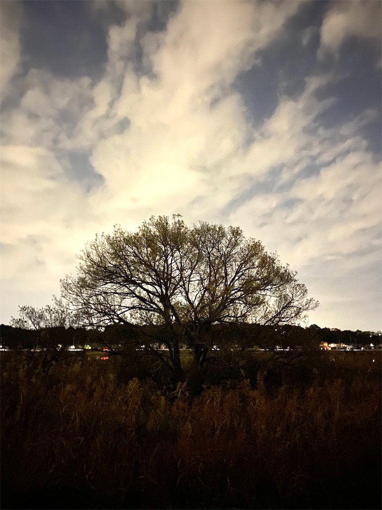 f:id:wagashi-okeya:20221121002030j:image