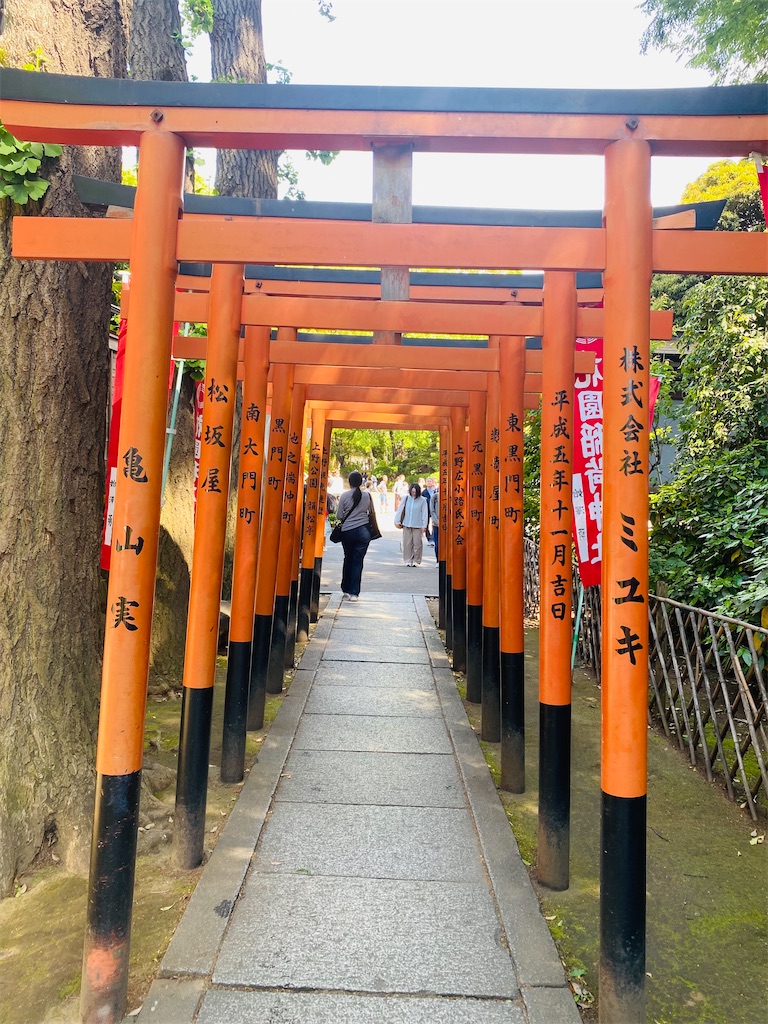 f:id:wagashi-okeya:20260512174859j:image f:id:wagashi-okeya:20260512174859j:image