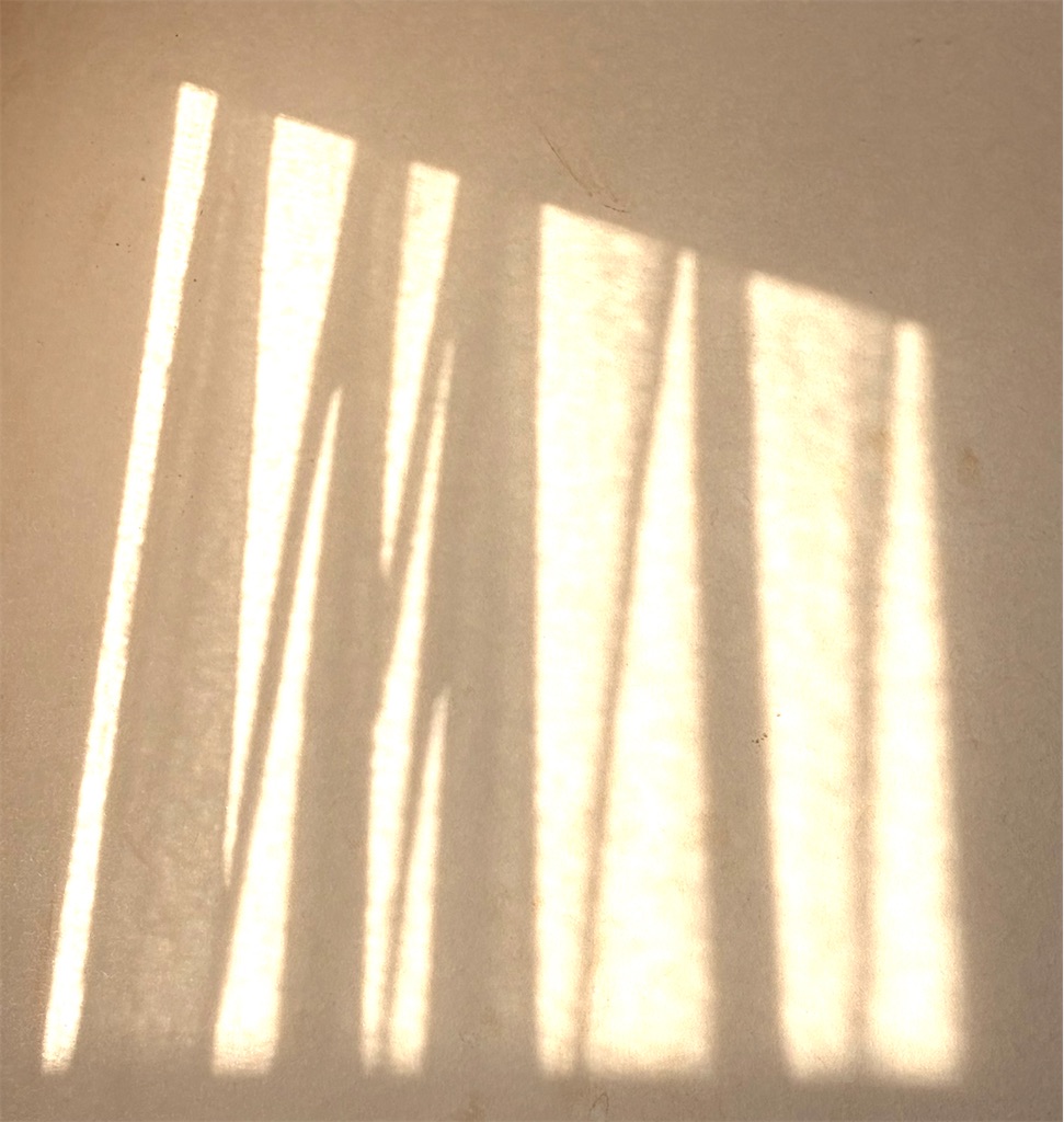 f:id:wagashi-okeya:20260617104539j:image f:id:wagashi-okeya:20260617104539j:image