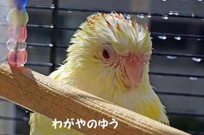 3/4 日光浴 画像