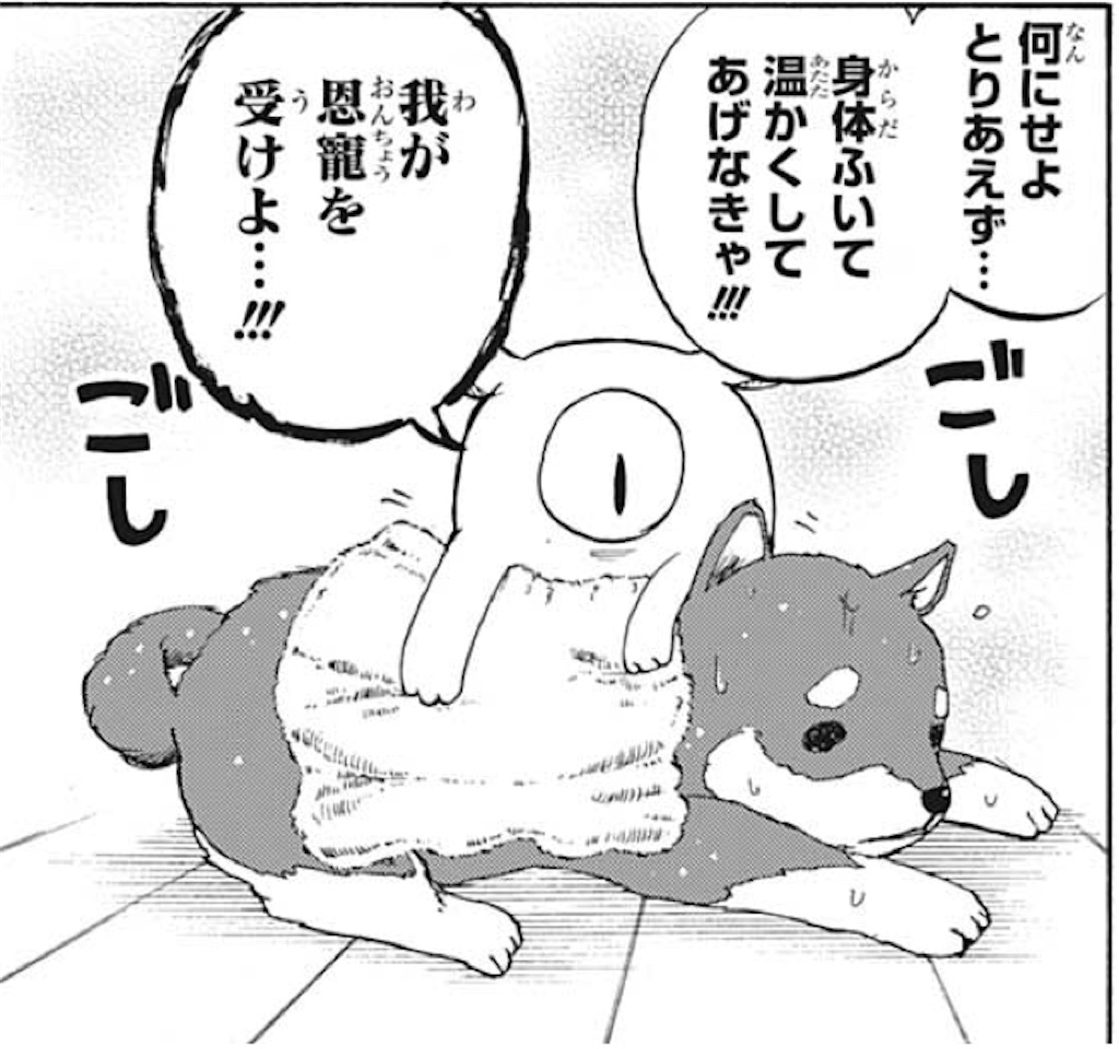 f:id:wagcus:20201013151815j:image f:id:wagcus:20201013151815j:image