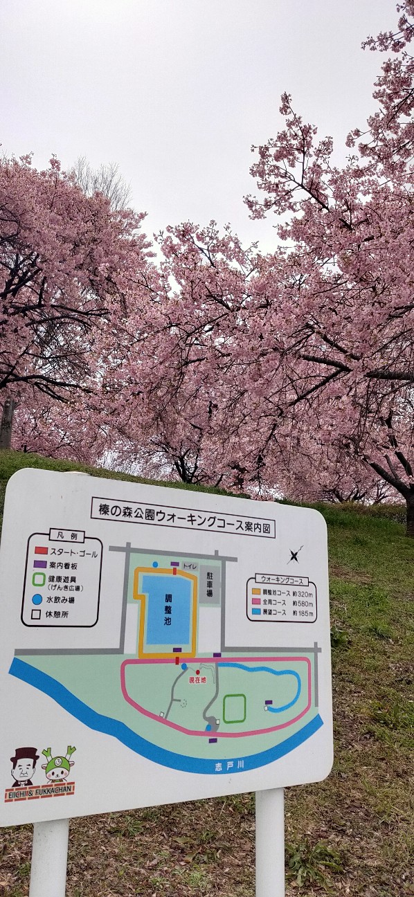 f:id:waguwagu:20240318220757j:image