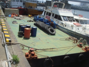 f:id:wah_sumidagawa:20090510105945j:image