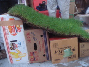 f:id:wah_sumidagawa:20090516164639j:image