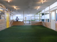 f:id:wah_sumidagawa:20100513112844j:image
