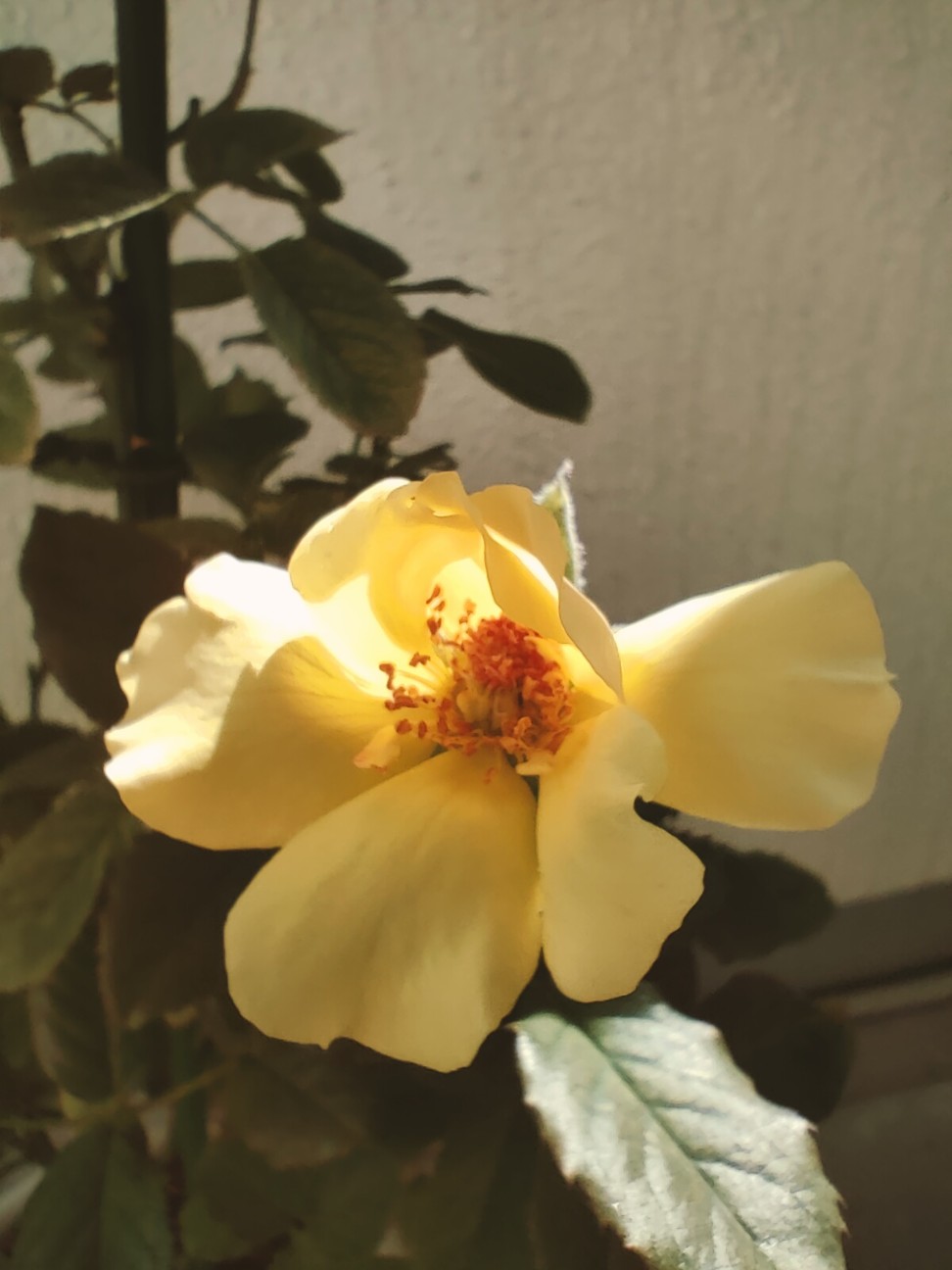 f:id:waha2504:20251107130337j:image