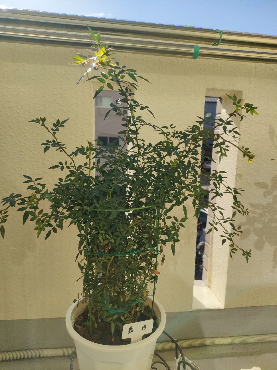 f:id:waha2504:20251107130346j:image